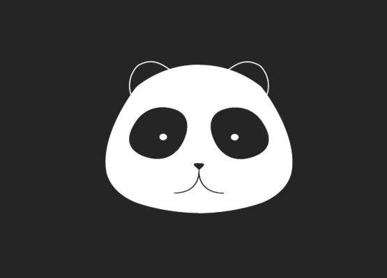 Focus sur les algorithmes et filtres Google